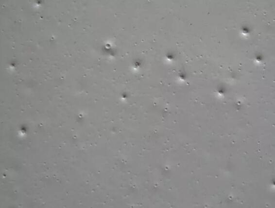 1677908310578673.jpg 圖1.jpg