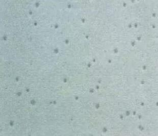 1677908820868357.jpg 圖2.jpg