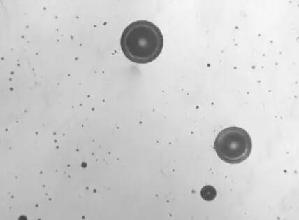 1677909118729335.jpg 圖(tú)4.jpg