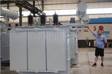 水電站(zhàn)用變壓器